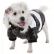 Product Pet Life Striped Fashion Parka With Removable Hood