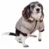 Pet Life Ski Parka Dog Coat image thumbnail 2