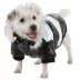 Pet Life Striped Fashion Parka With Removable Hood image thumbnail 1