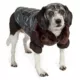 Product Pet Life Ultra-Fur Collared Dog Coat