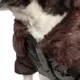 Product Pet Life Ultra-Fur Collared Dog Coat