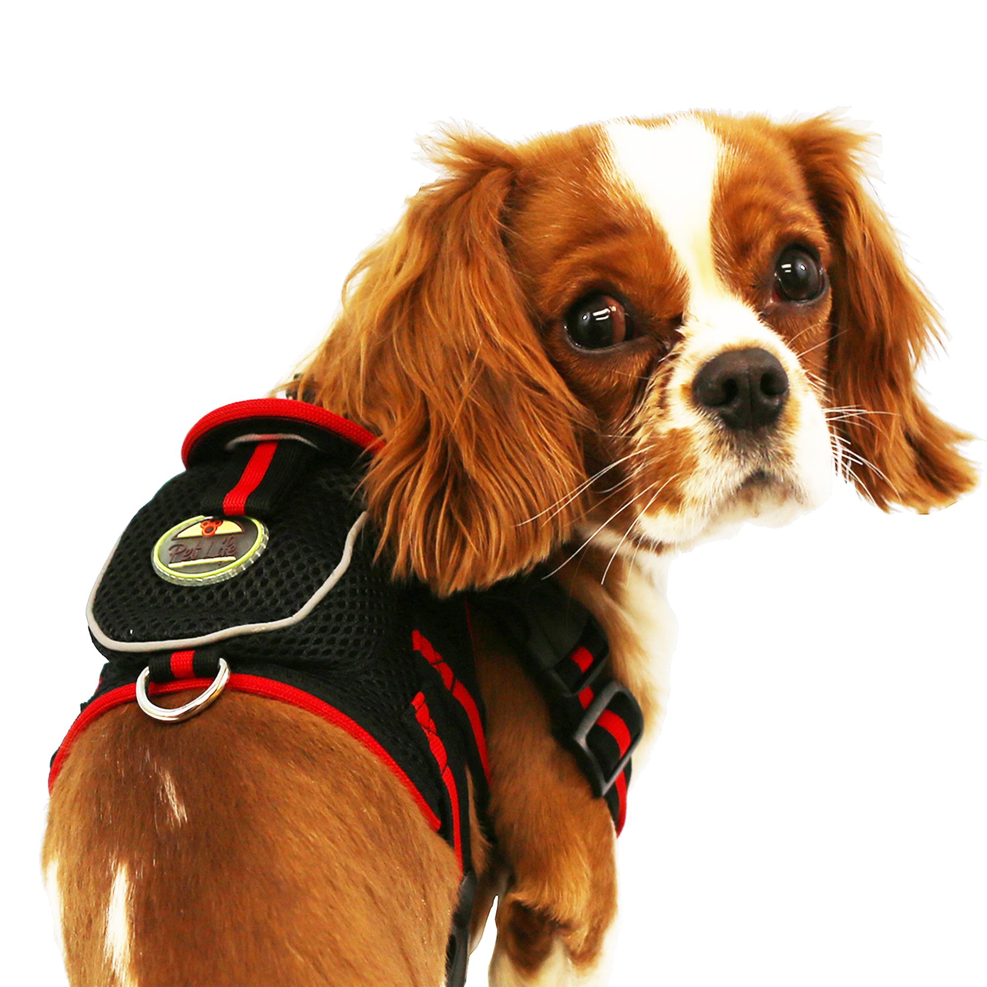 Pet Life Pet Harness with Pouch