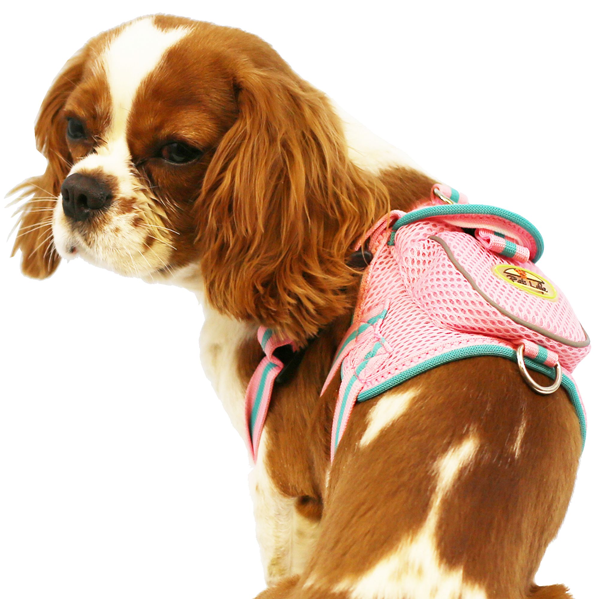 Pet Life Pet Harness with Pouch dog Harnesses PetSmart