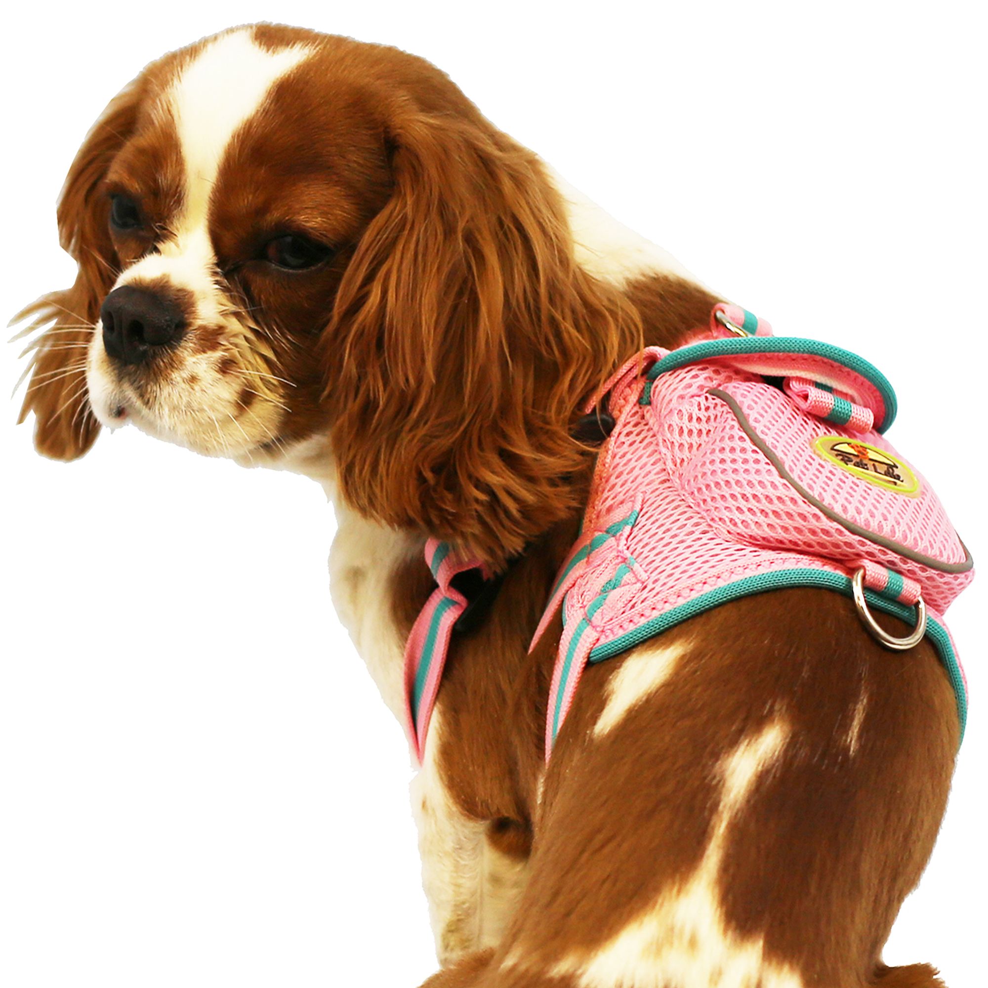 pet life harness