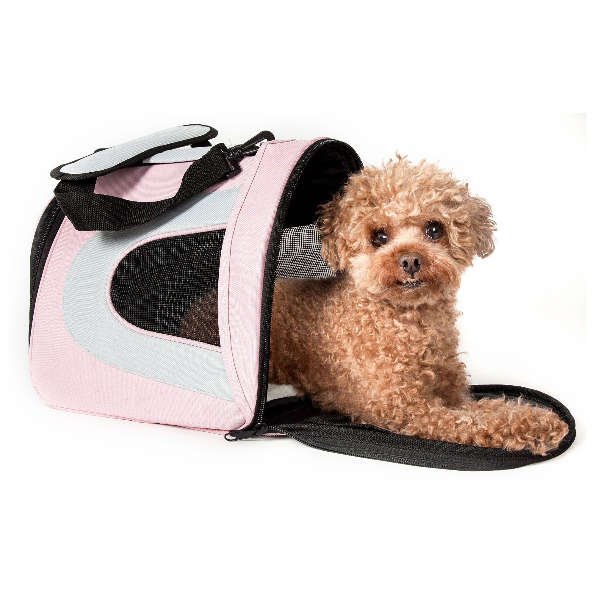 PawsMark Soft-Sided Mesh Foldable Pet Travel Carrier, Airline Approved Pet Bag for Dogs and Cats