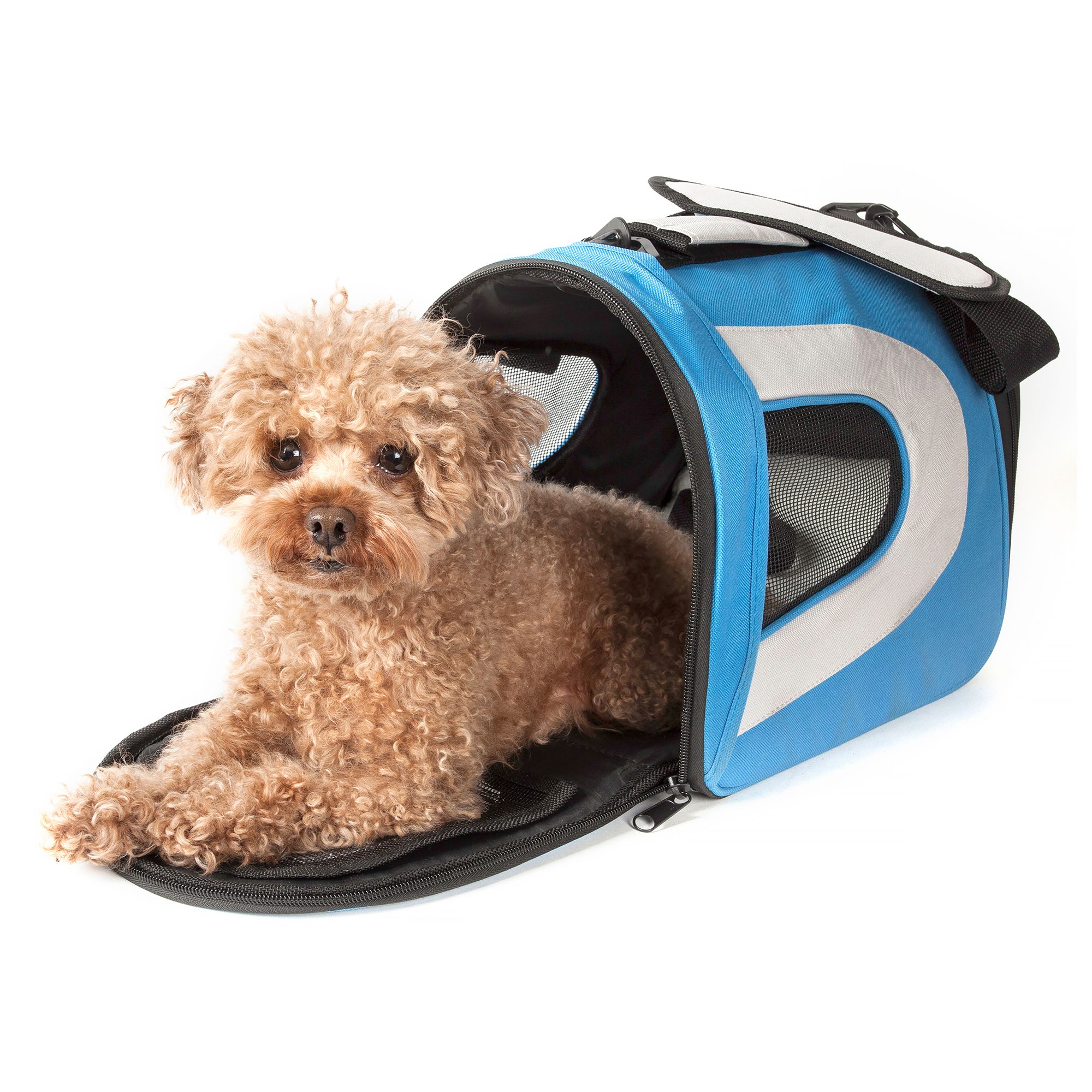 PAWSMARK Soft-Sided Mesh Foldable Pet Travel Carrier, Pet Bag for