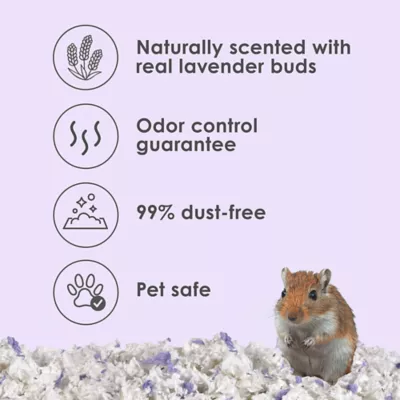 KAYTEE® Clean & Cozy™ Lavender Scented Small Pet Bedding - Image 2