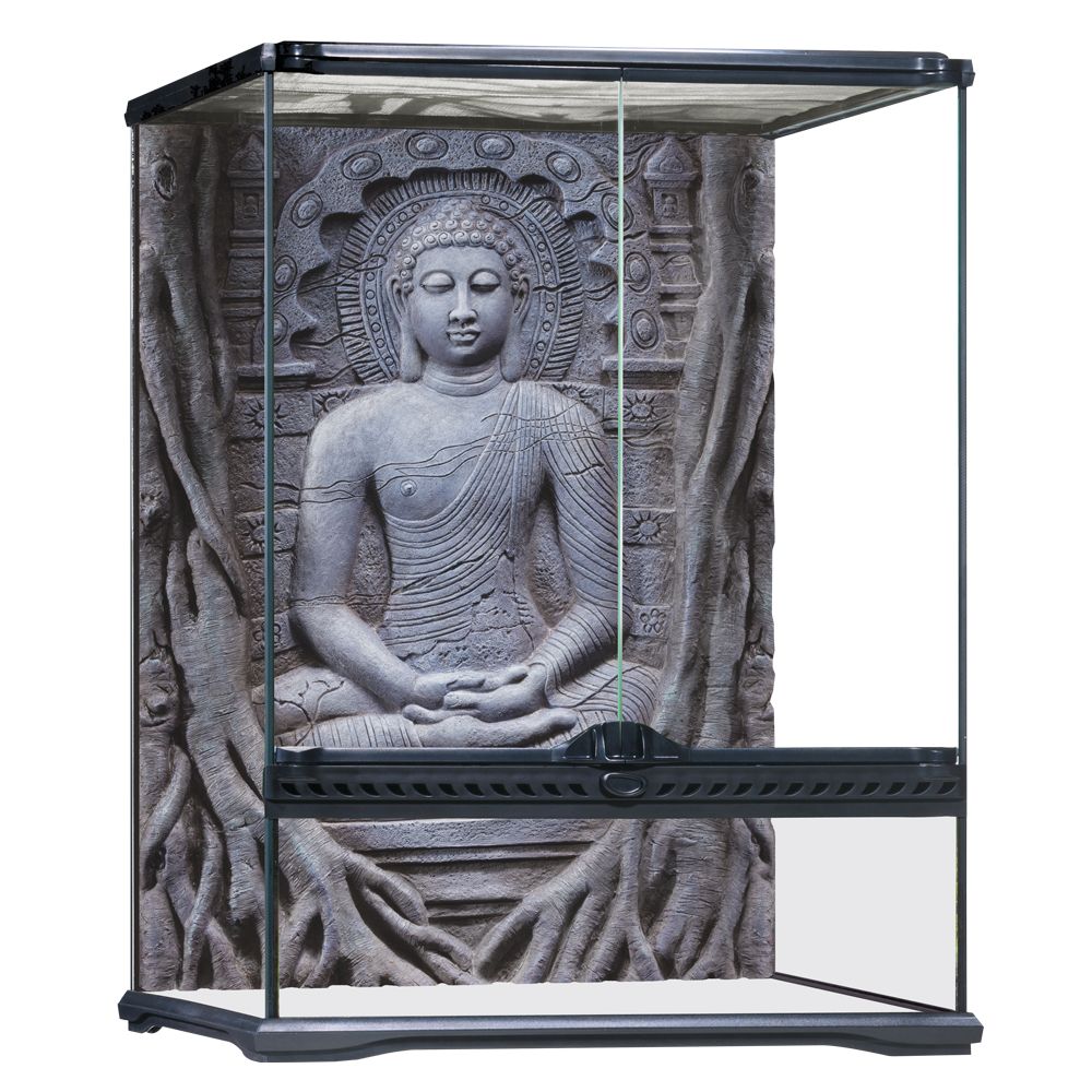 reptile tanks petsmart