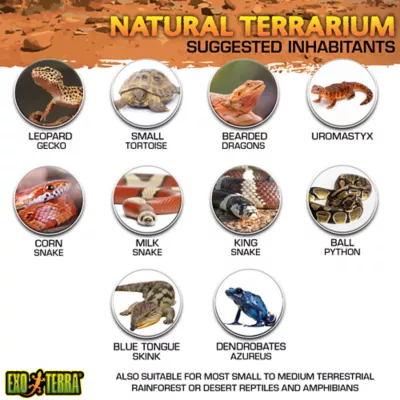 Product Exo-Terra® Natural Reptile Terrarium Habitat
