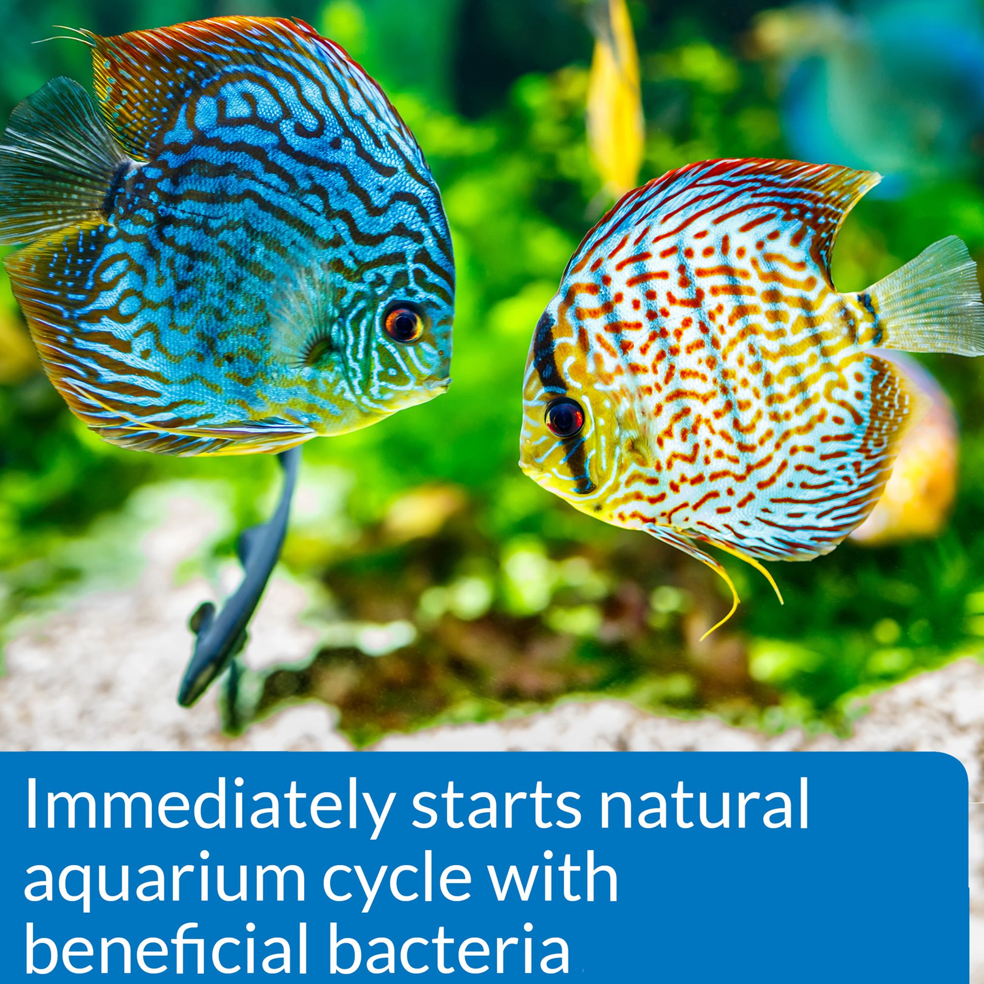 API® Quick Start for Aquarium Cycling - thumbnail 3