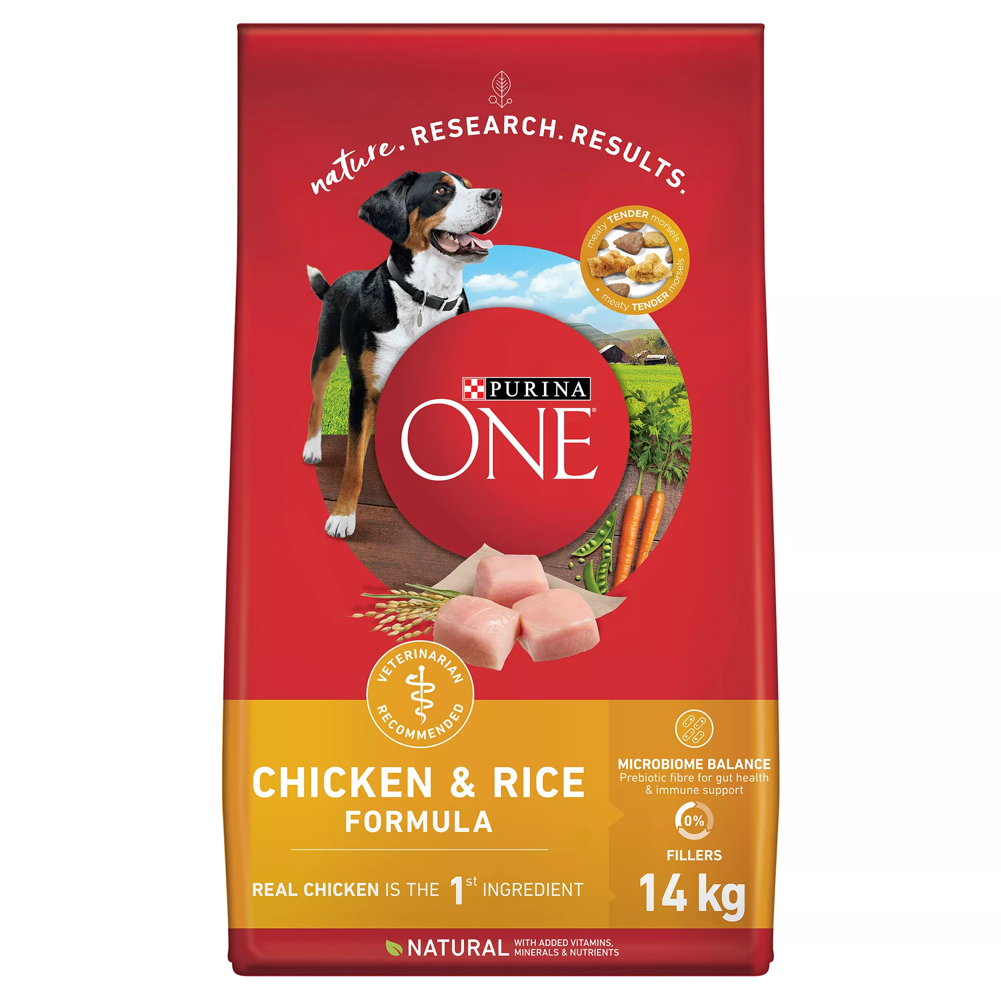 Purina ONE SmartBlend Advanced Nutrition Dog Food