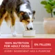 Product Purina ONE SmartBlend Advanced Nutrition Dog Food