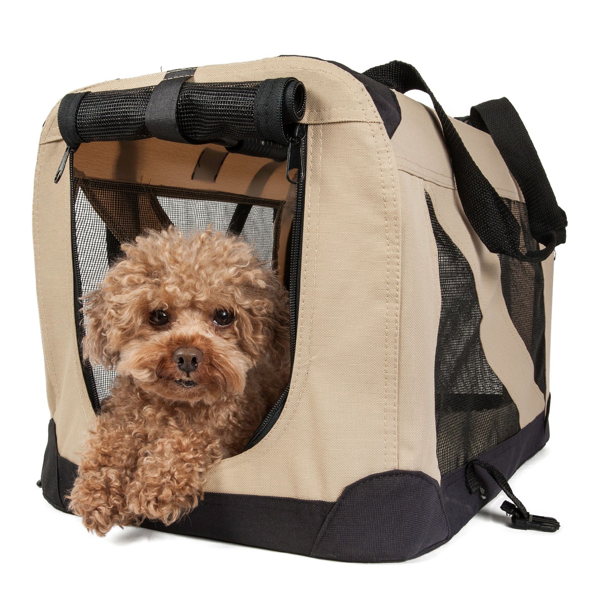 petsmart pet carrier airline approved