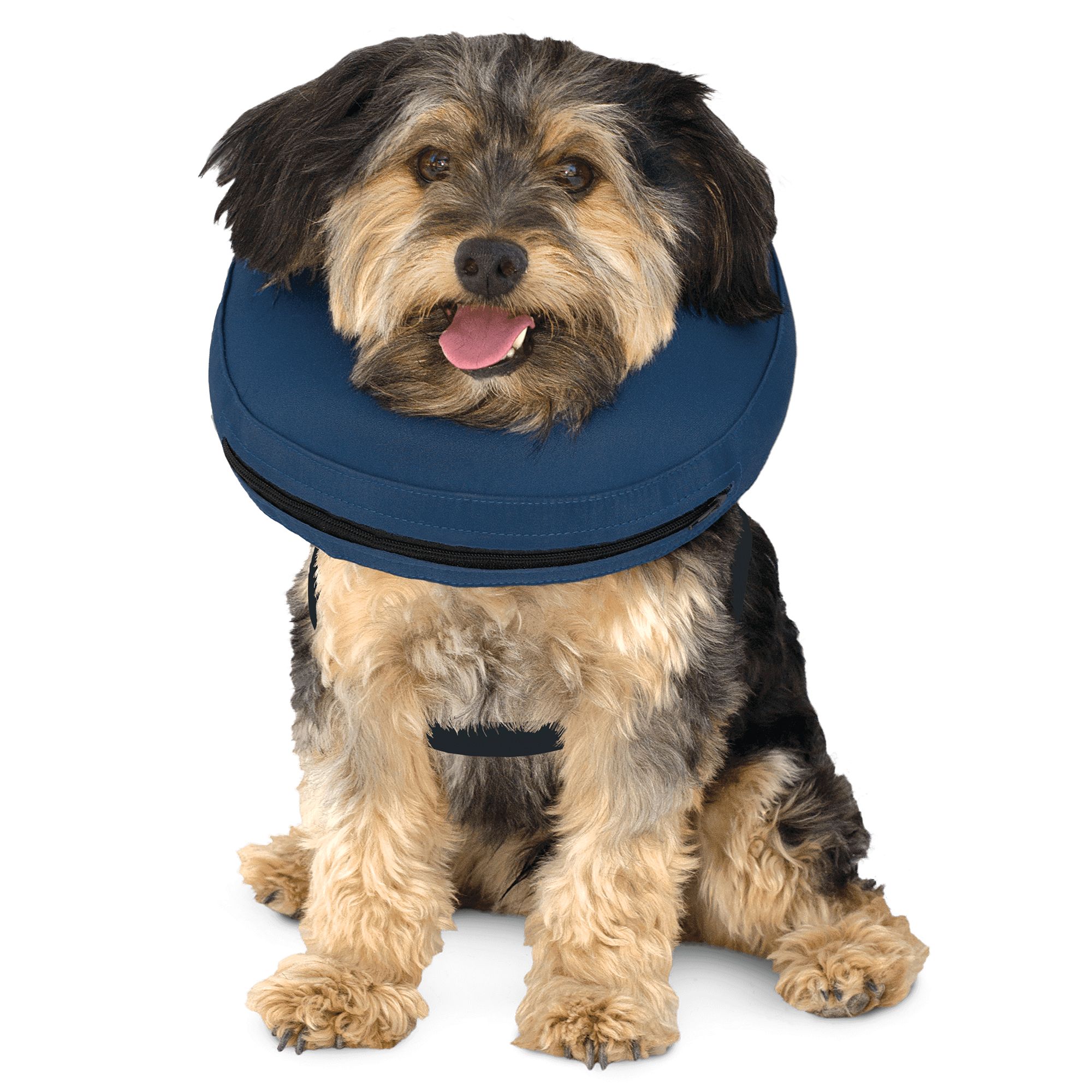 petsmart electronic collars