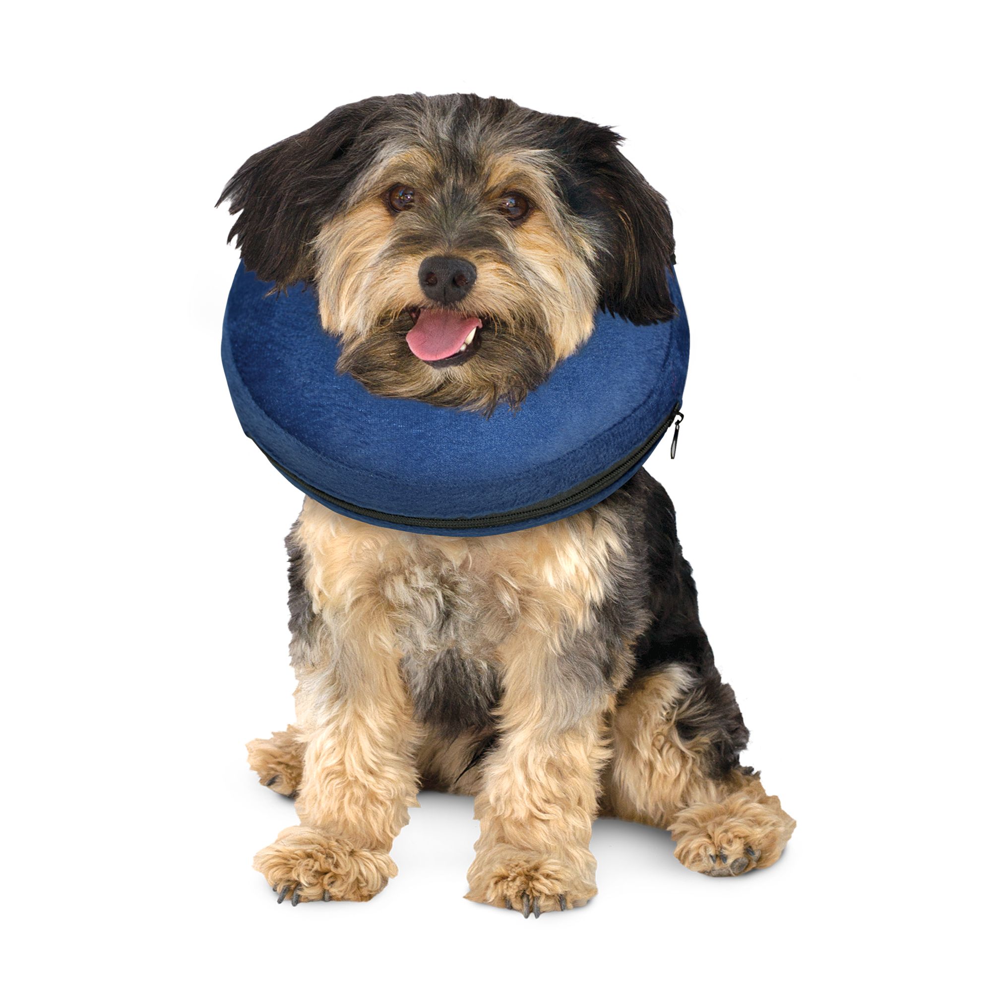inflatable ring for dogs neck
