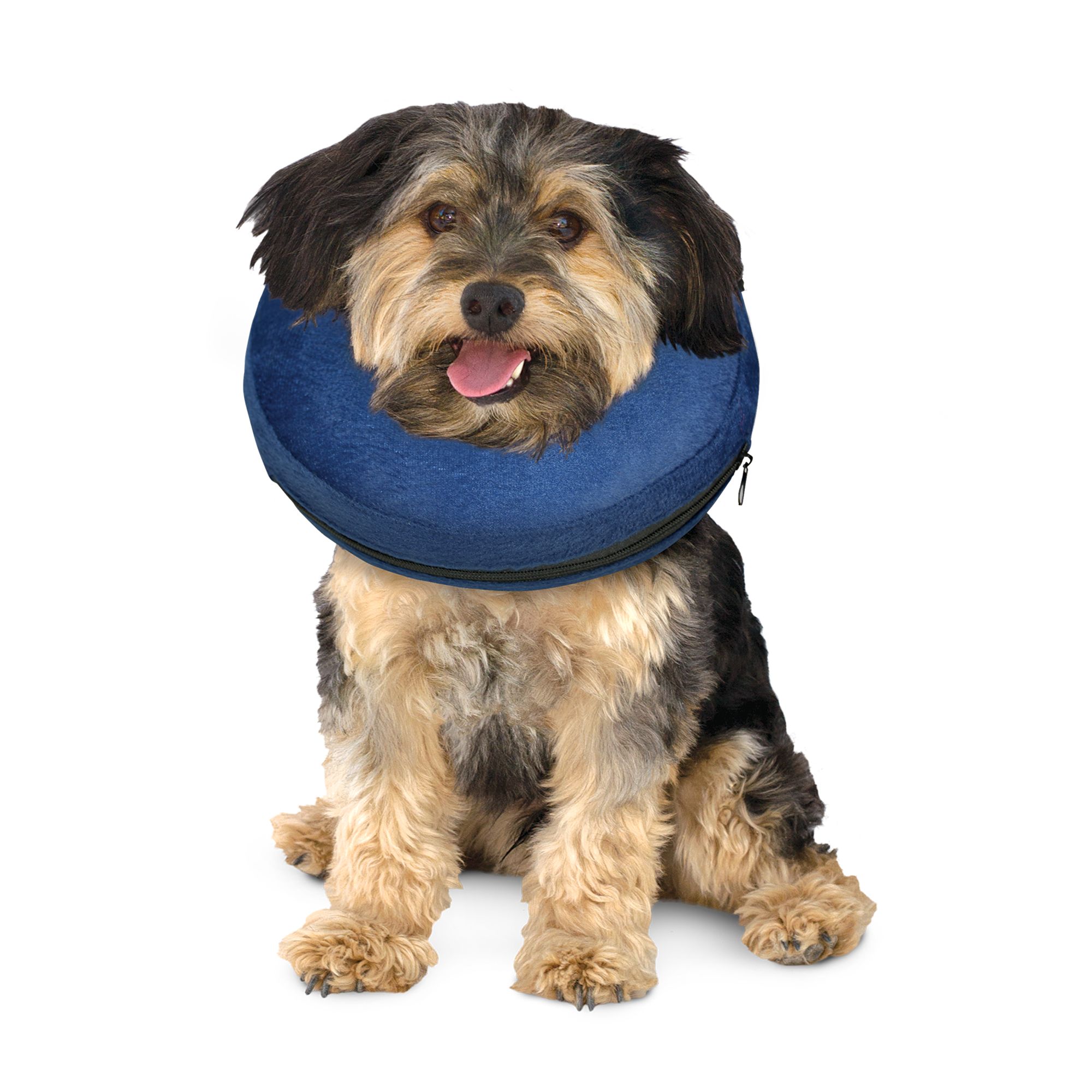 Protective Inflatable Pet Collar 