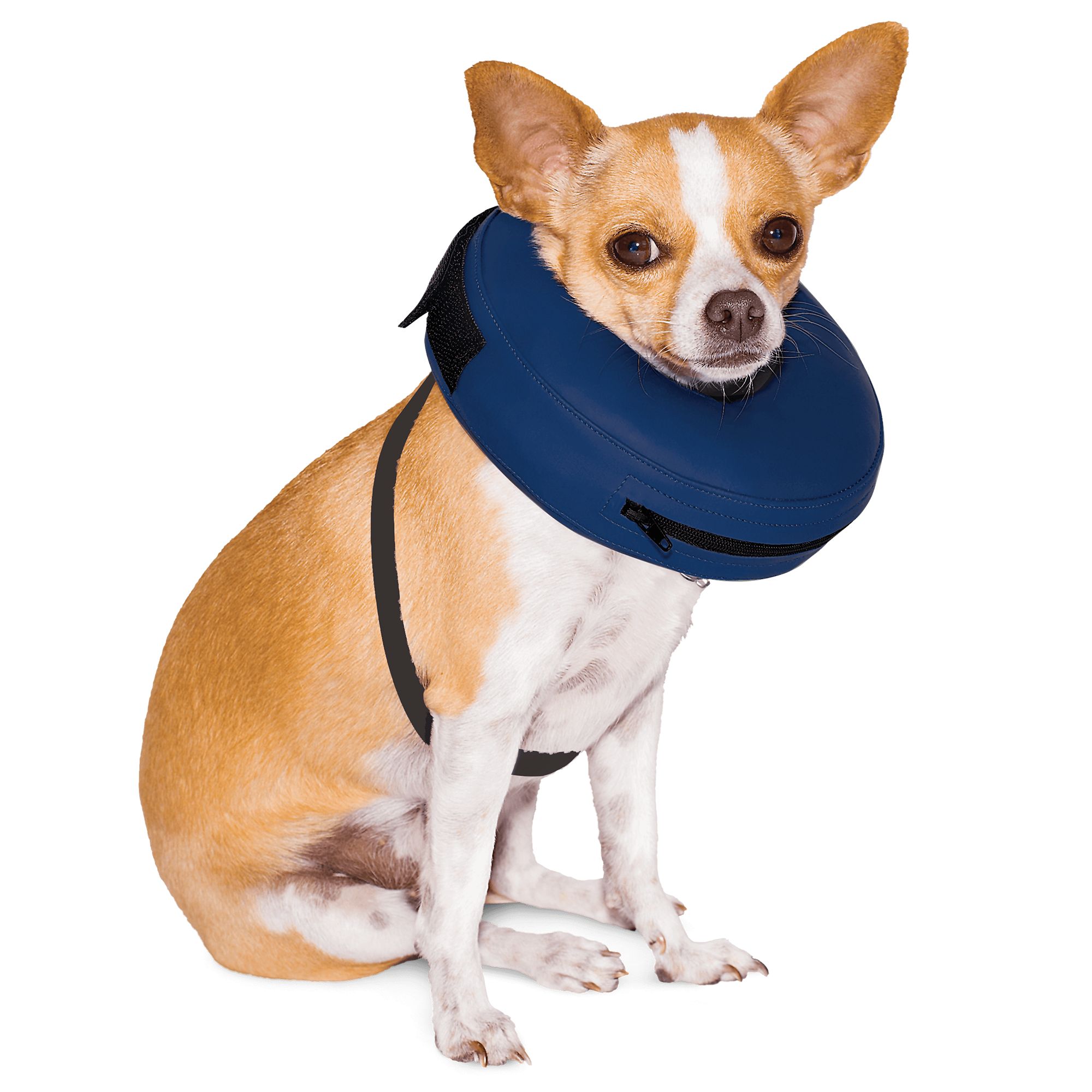 petsmart inflatable collar