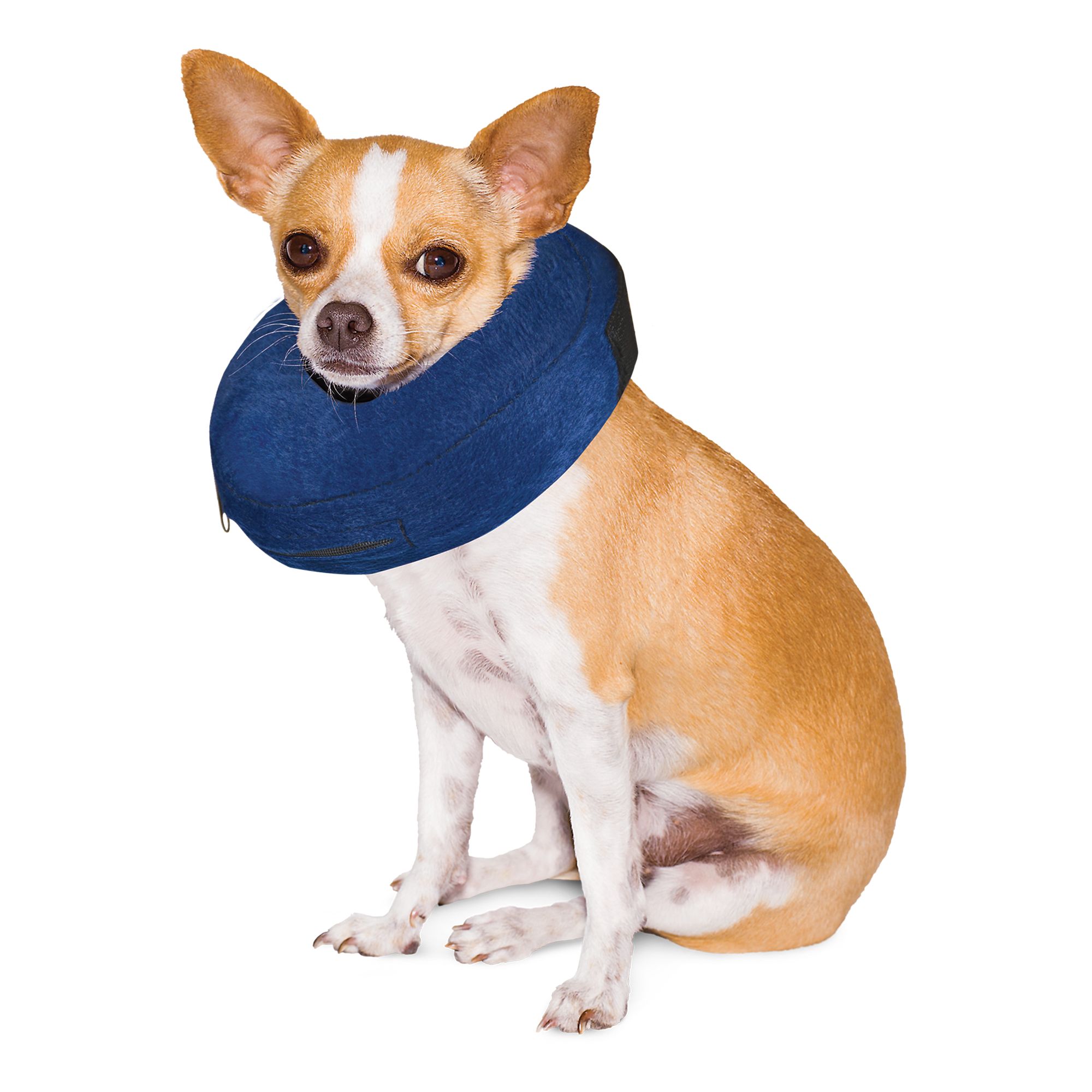 petsmart inflatable collar