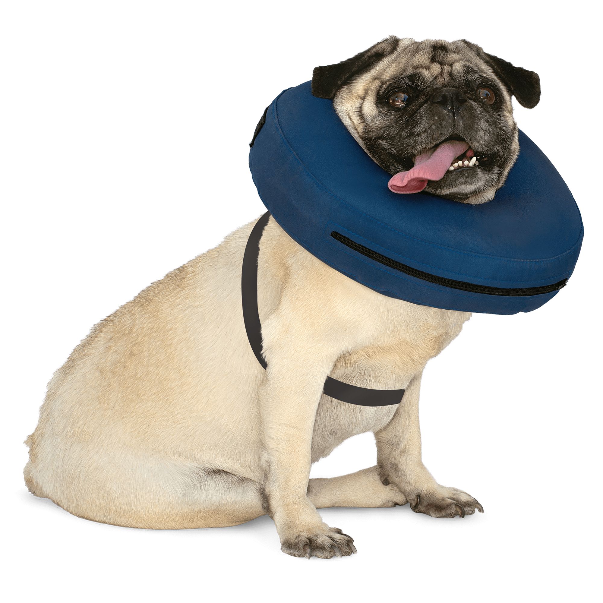 petsmart inflatable dog cone