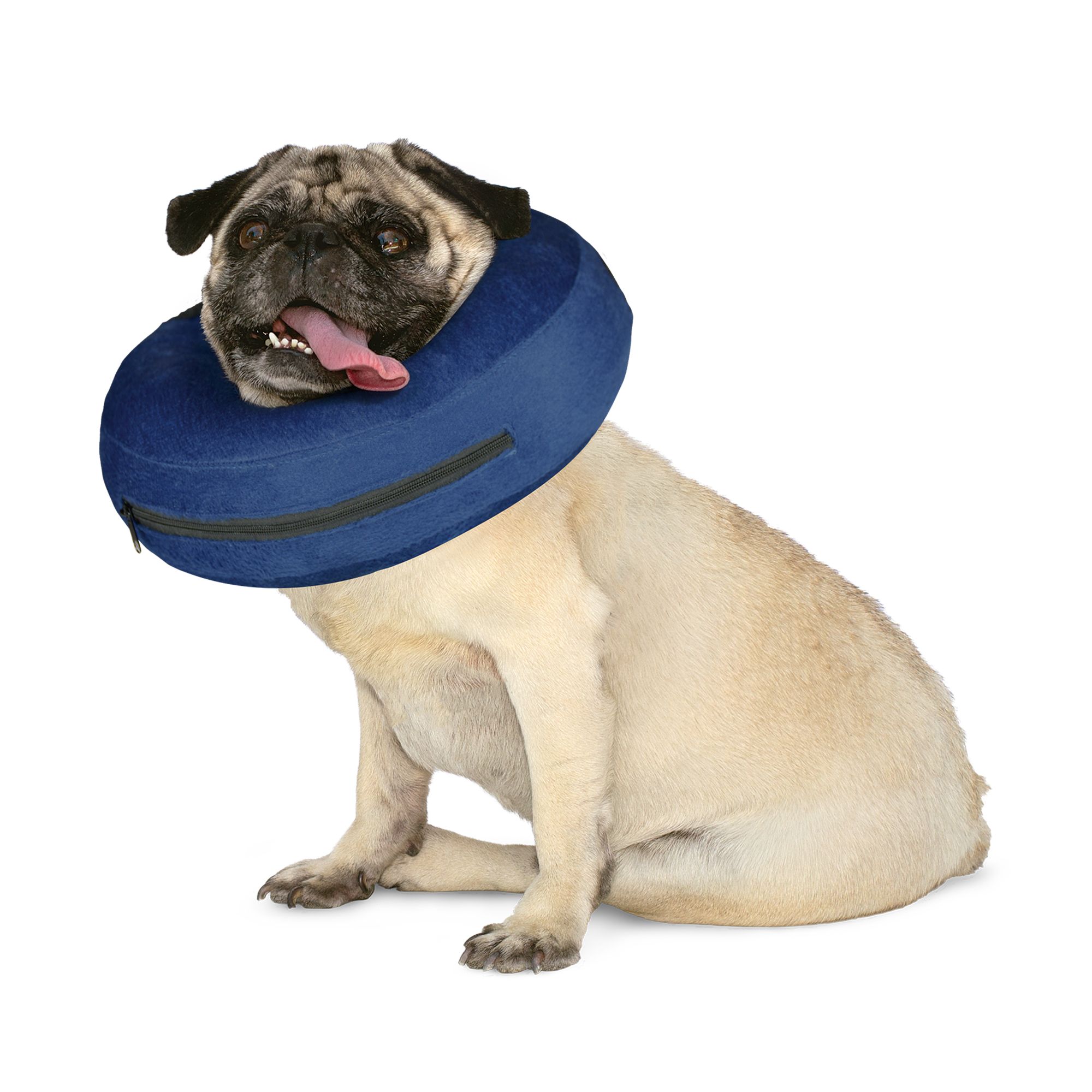 petsmart inflatable dog cone