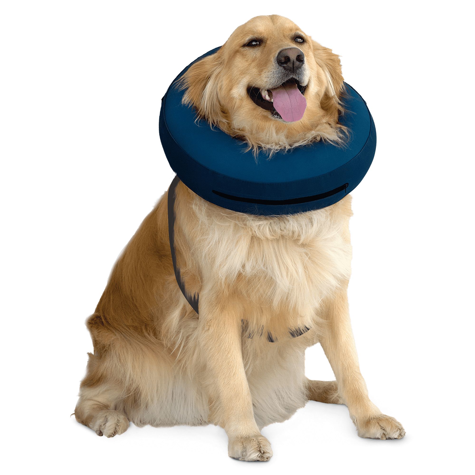 inflatable dog collar