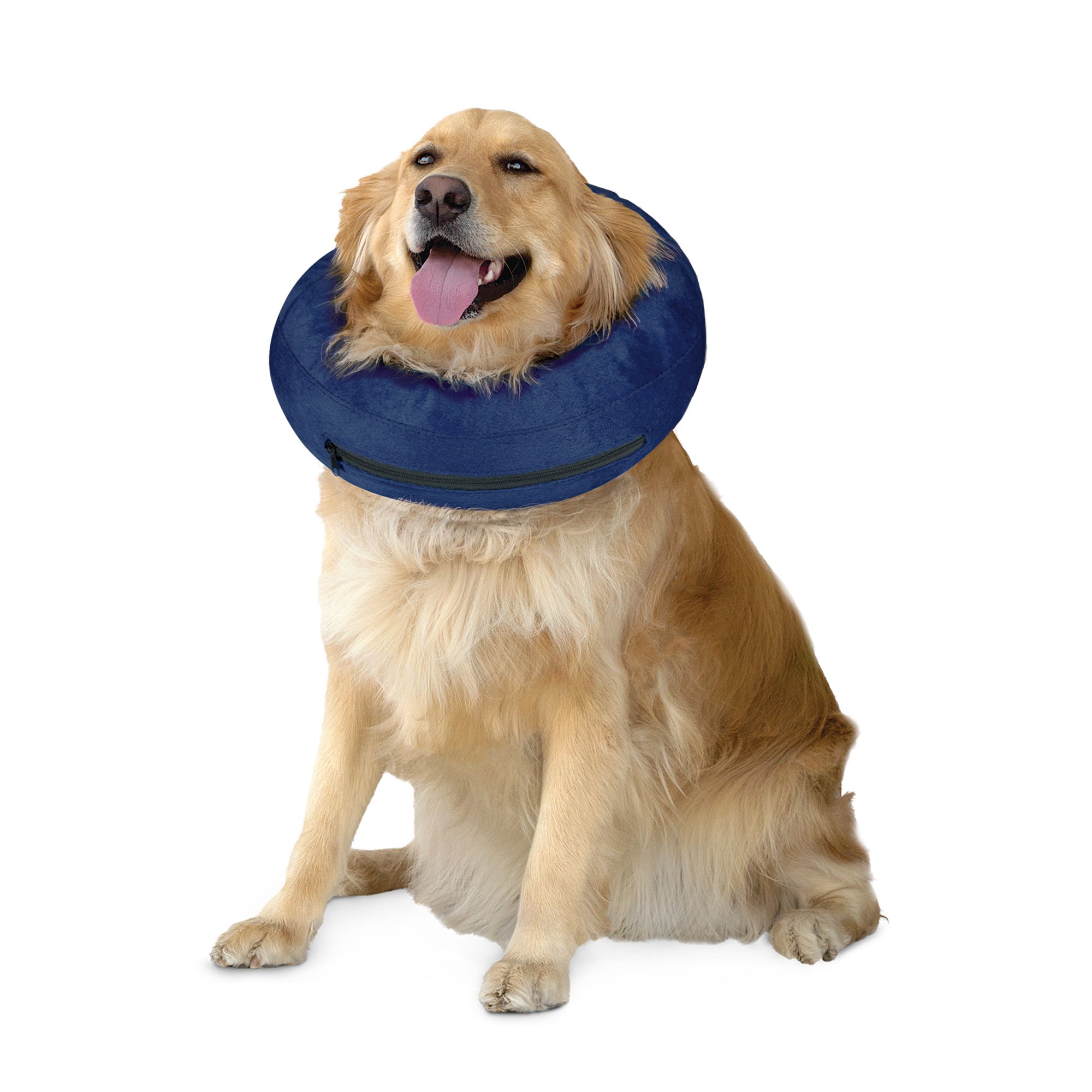 petsmart inflatable collar