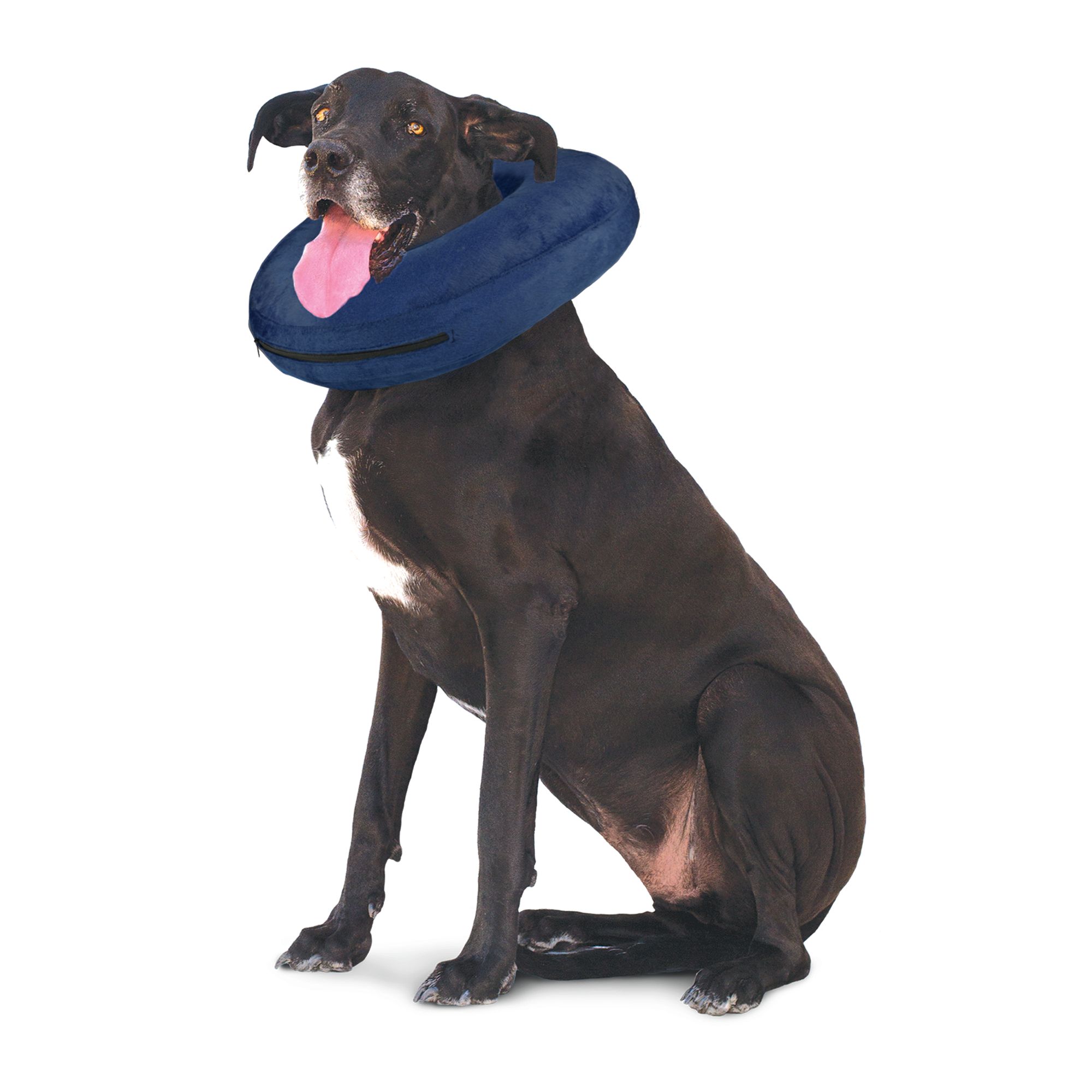 petsmart inflatable dog cone