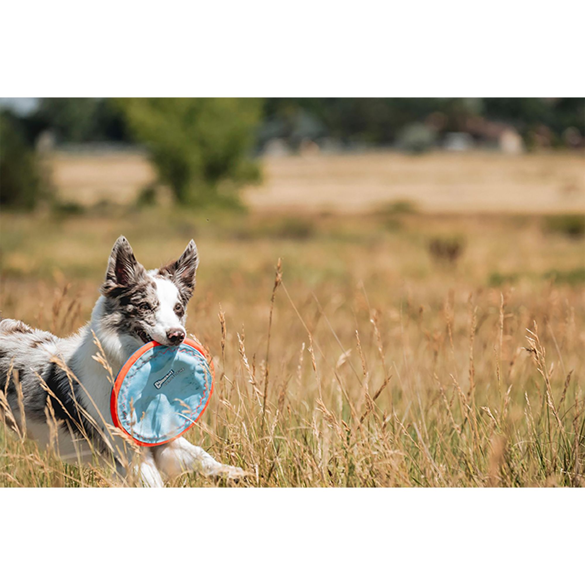 Chuckit!® Paraflight Dog Flyer Toy