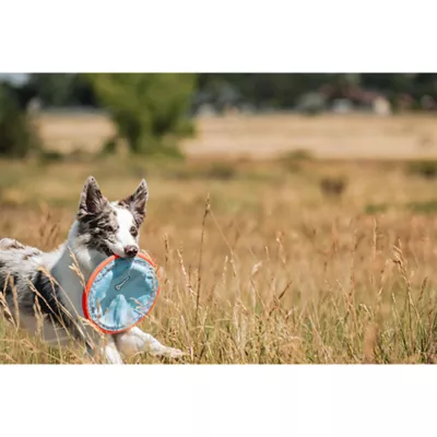 Product Chuckit!® Paraflight Flyer Dog Toy