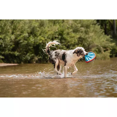 Product Chuckit!® Paraflight Flyer Dog Toy