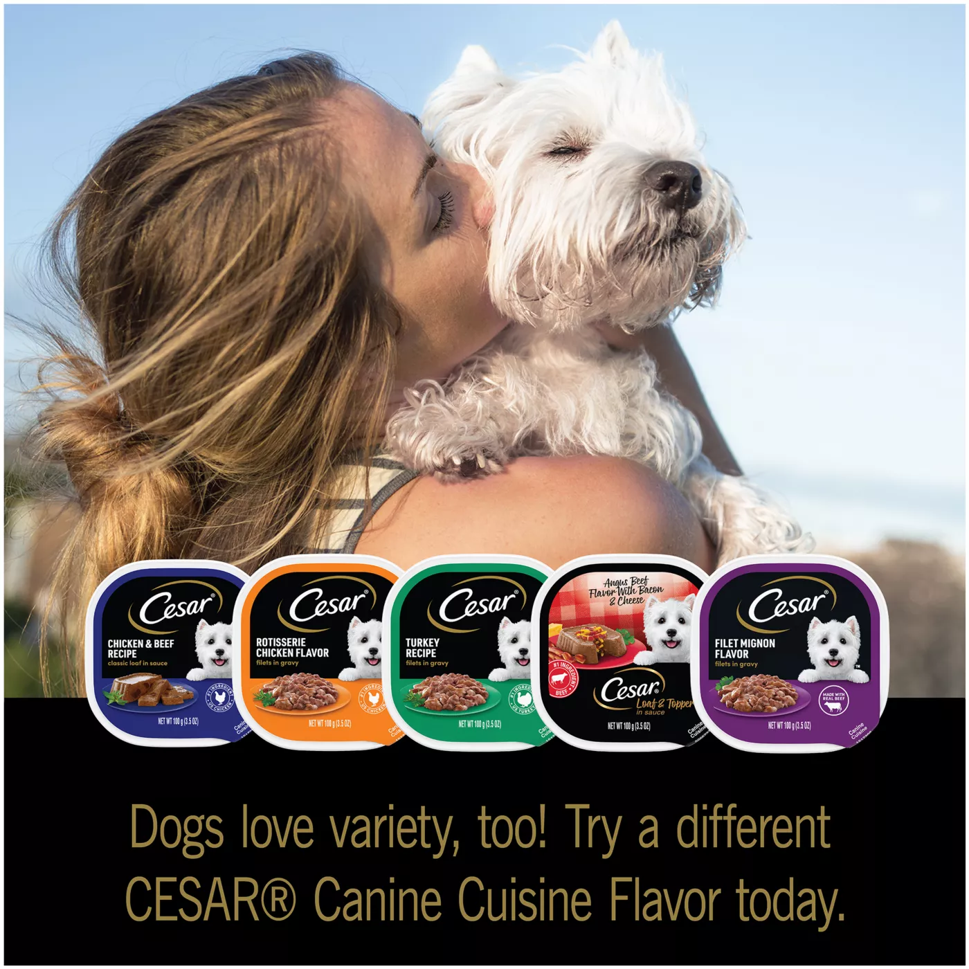 Product Cesar® Classics Adult Wet Dog Food - Loaf & Topper, 3.5 Oz.