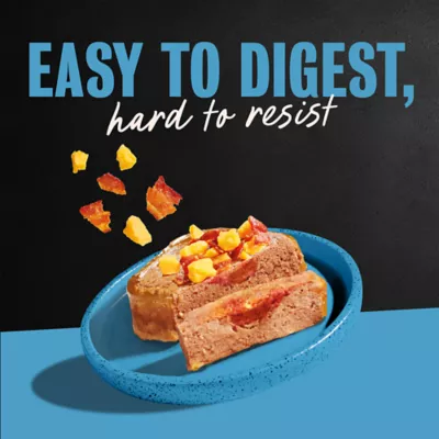 Cesar® Classics Adult Wet Dog Food - Loaf & Topper, 3.5 Oz. - Image 9