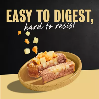 Cesar® Classics Adult Wet Dog Food - Loaf & Topper, 3.5 Oz. - Image 9