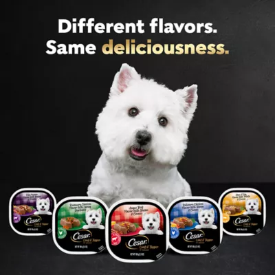 Product Cesar® Classics Adult Wet Dog Food - Loaf & Topper, 3.5 Oz.