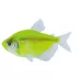 GloFish® Electric Green® Tetra image thumbnail 1