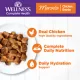 Product Wellness® Complete Health Adult Cat Wet Food - Natural, Grain Free, Morsels, 3 Oz