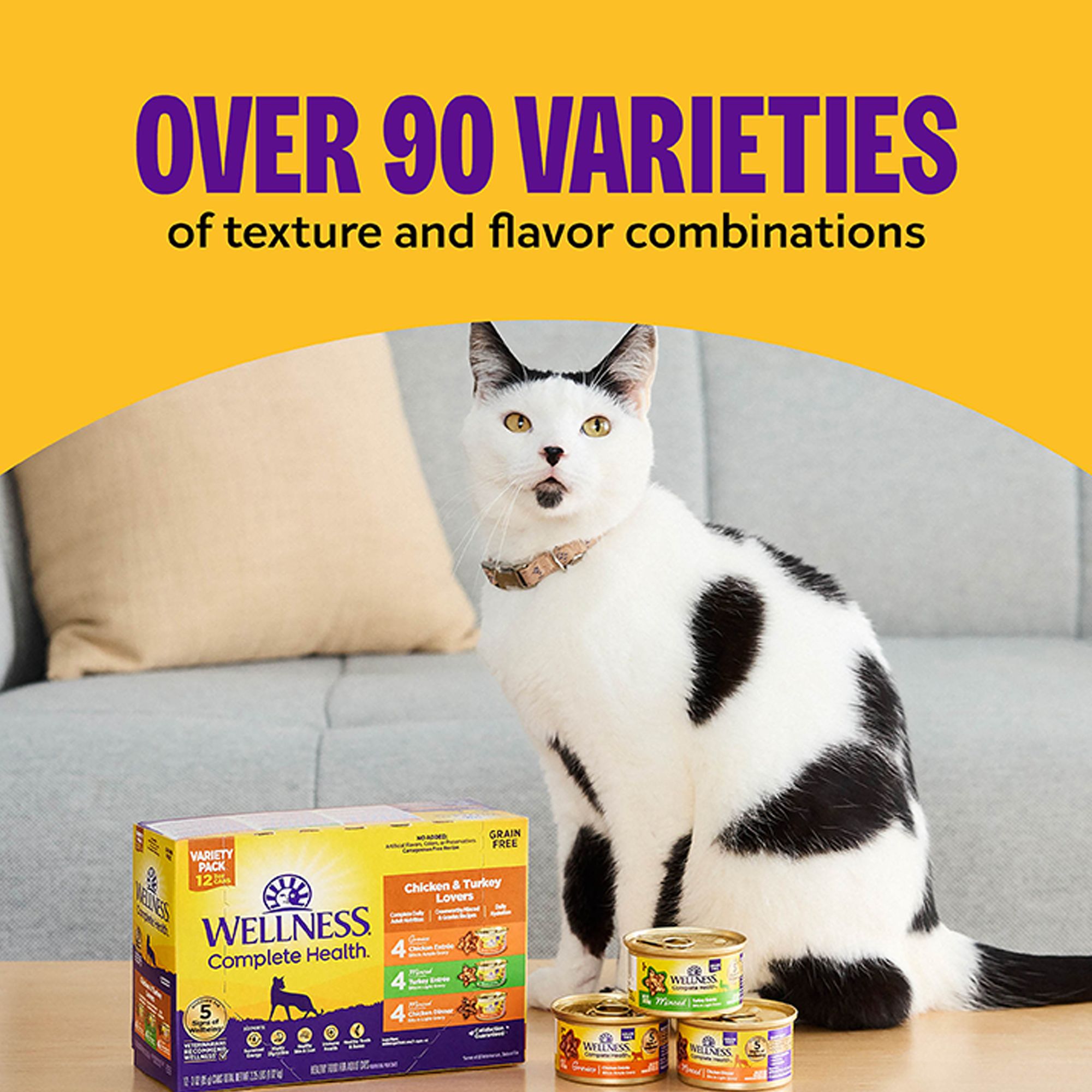 Wellness® Complete Health Adult Cat Wet Food - Natural, Grain Free