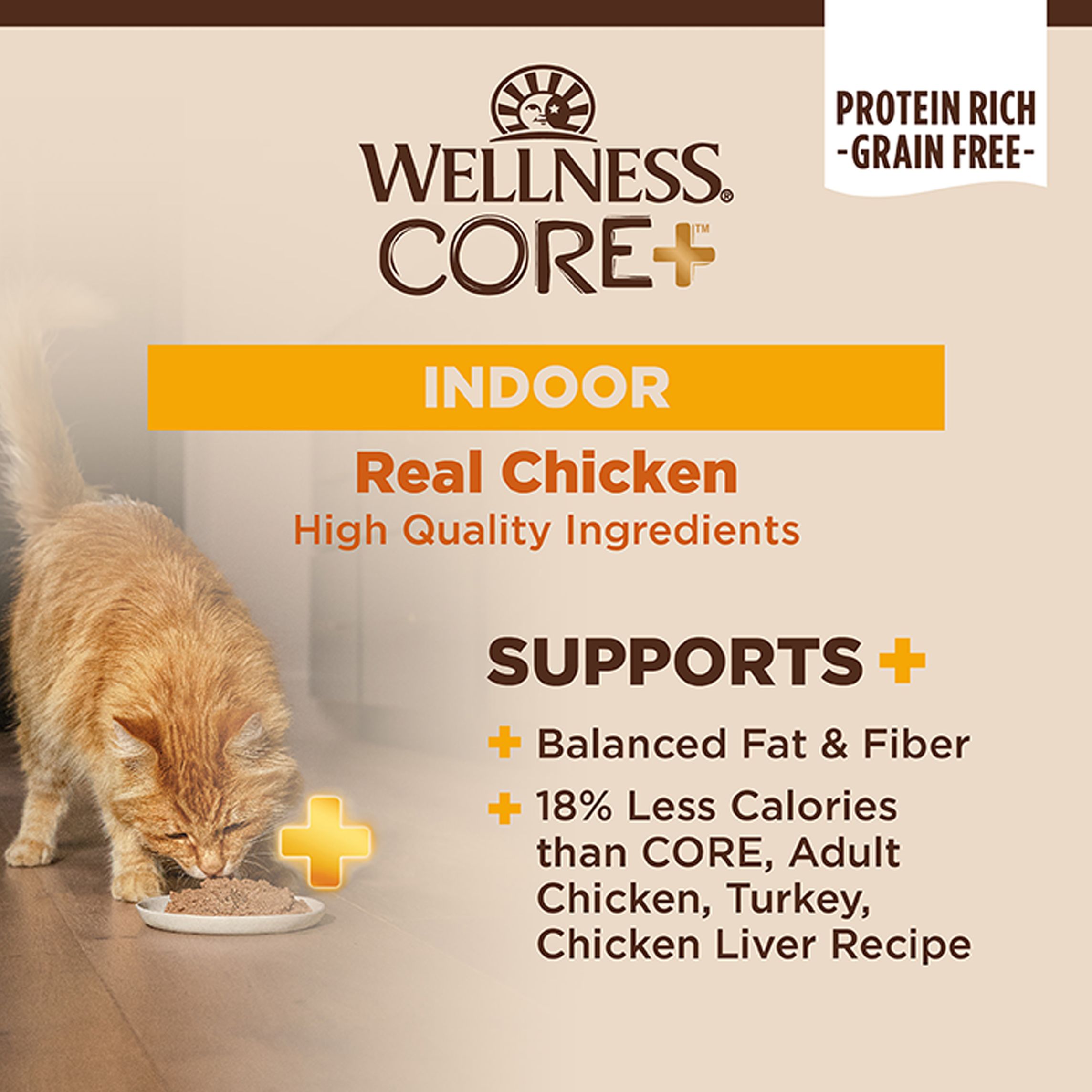 core indoor cat food