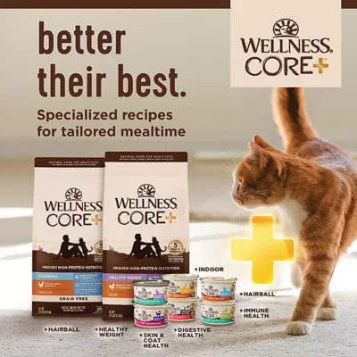 Product Wellness® CORE® Indoor Adult Cat Food - Natural, Grain Free