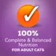 Product Purina® Friskies® Tasty Treasures Adult Cat Wet Food - 6.04 oz.