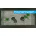 Top Fin® Betta Bamboo Aquarium - 3 Gallon video thumbnail 6