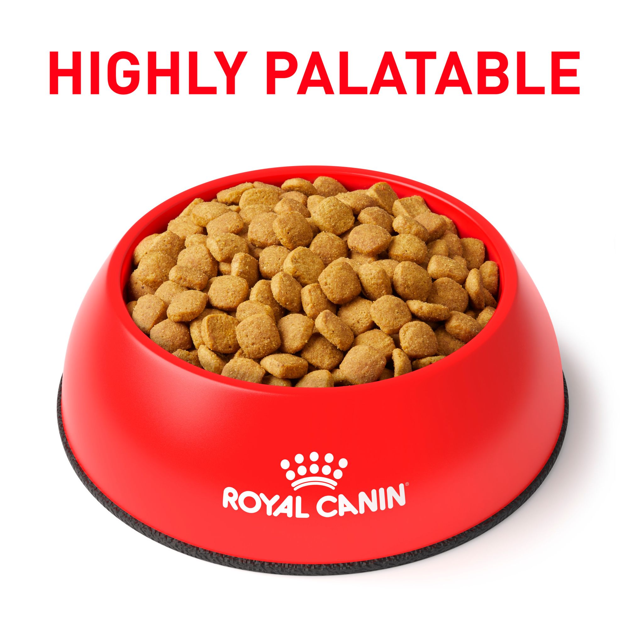 royal canin glycobalance cat food petsmart