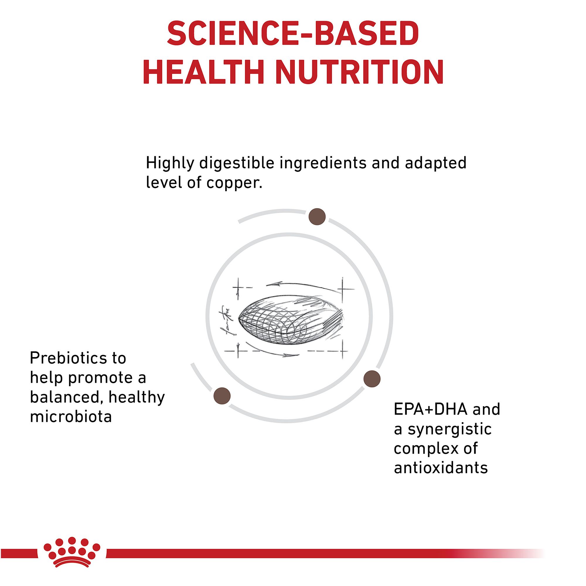 hepatic royal canin dog