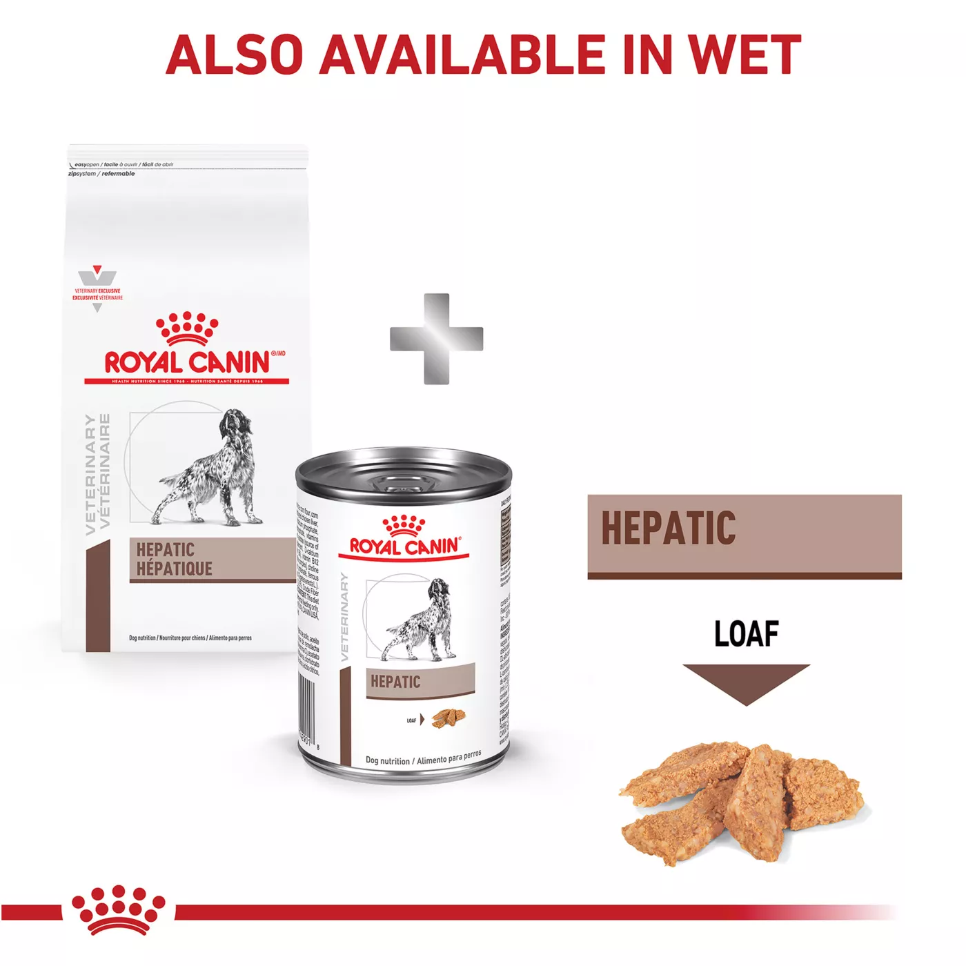 Hepatic dry dog food best sale