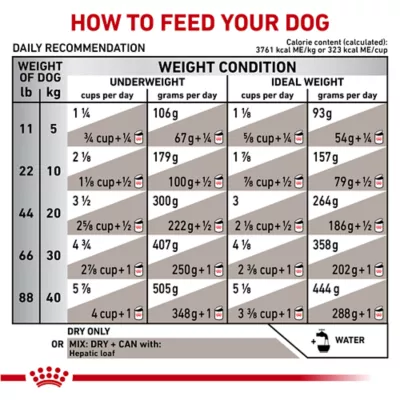 Product Royal Canin® Veterinary Diet Canine Hepatic Adult Dry Dog Food