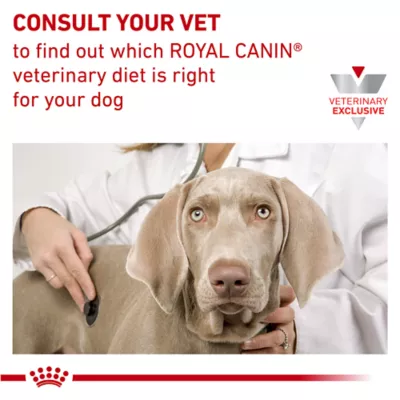 Product Royal Canin® Veterinary Diet Canine Hepatic Adult Dry Dog Food