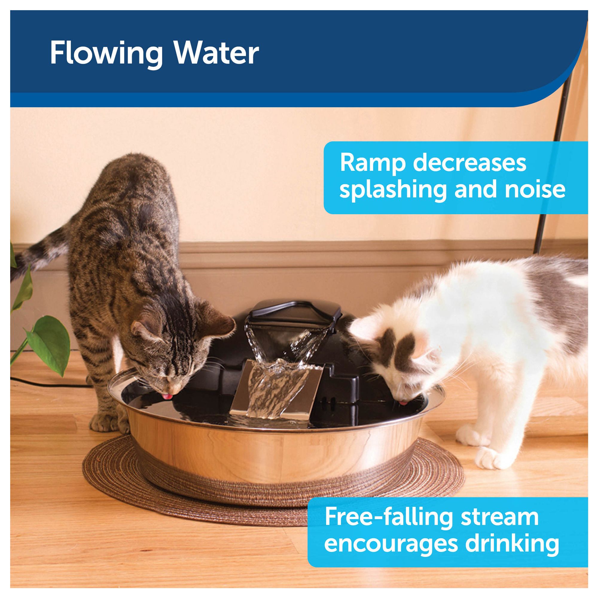 drinkwell zen fountain