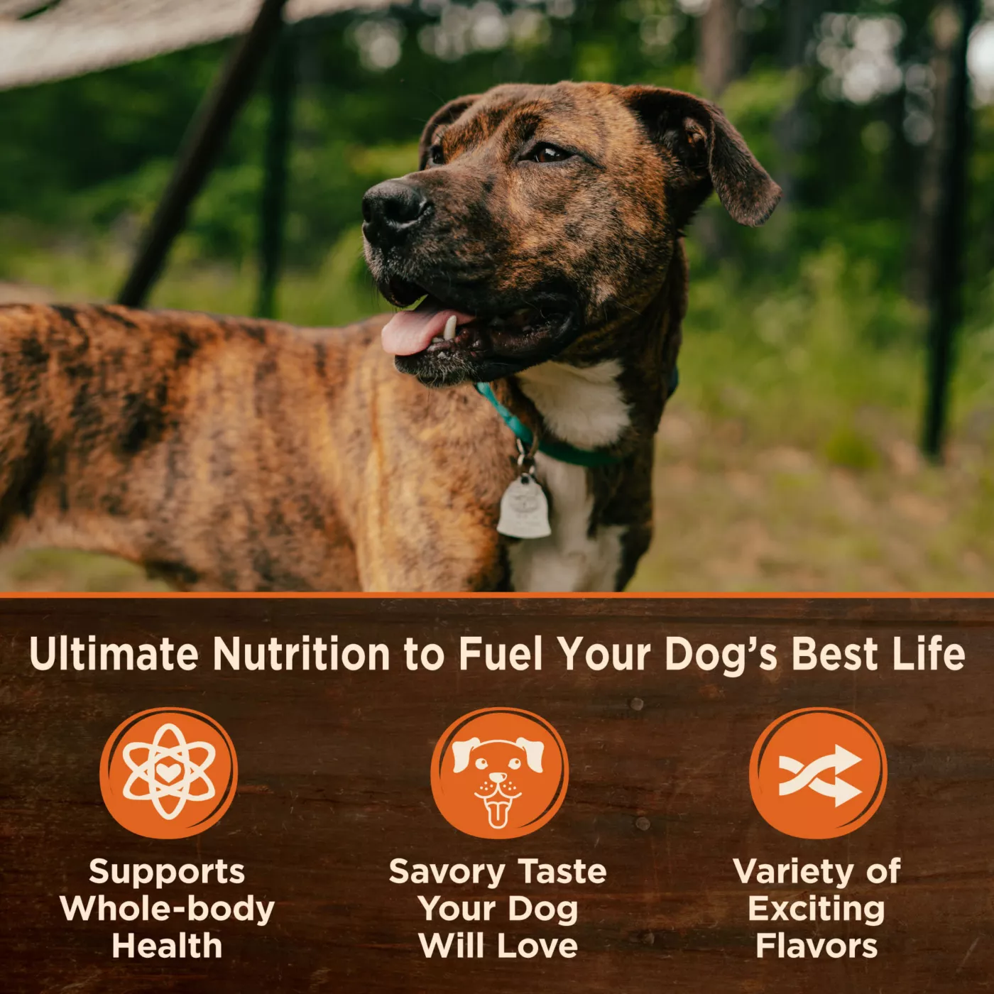 Wellness CORE All Life Stage Wet Dog Food Natural Grain Free