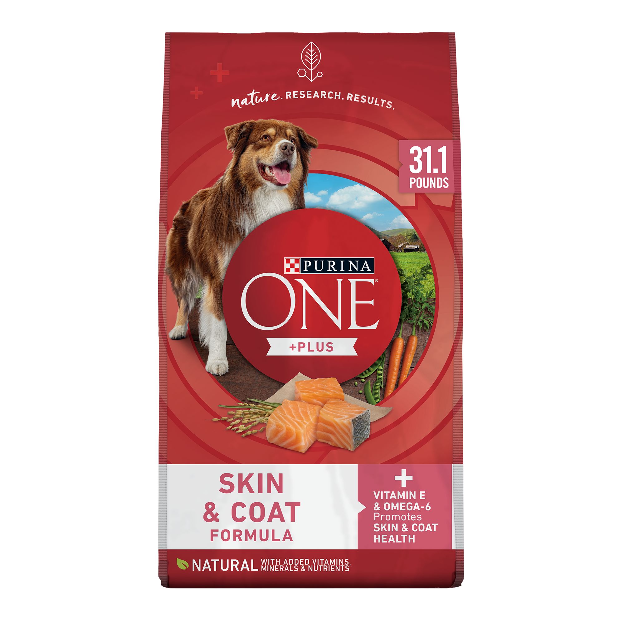 Purina ONE+ bag of dog food