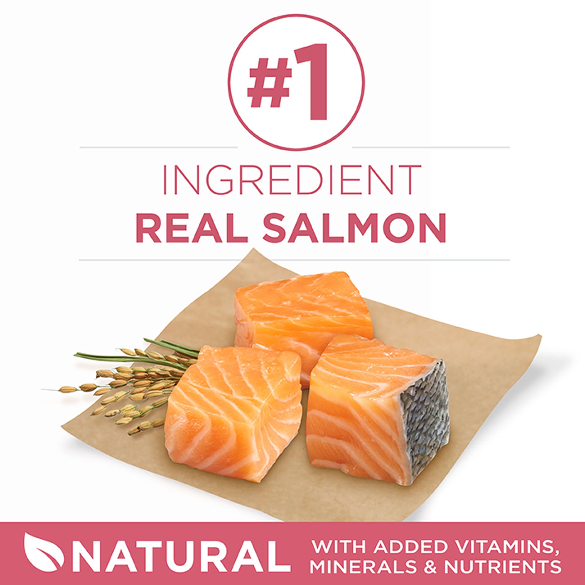 petsmart purina one sensitive system